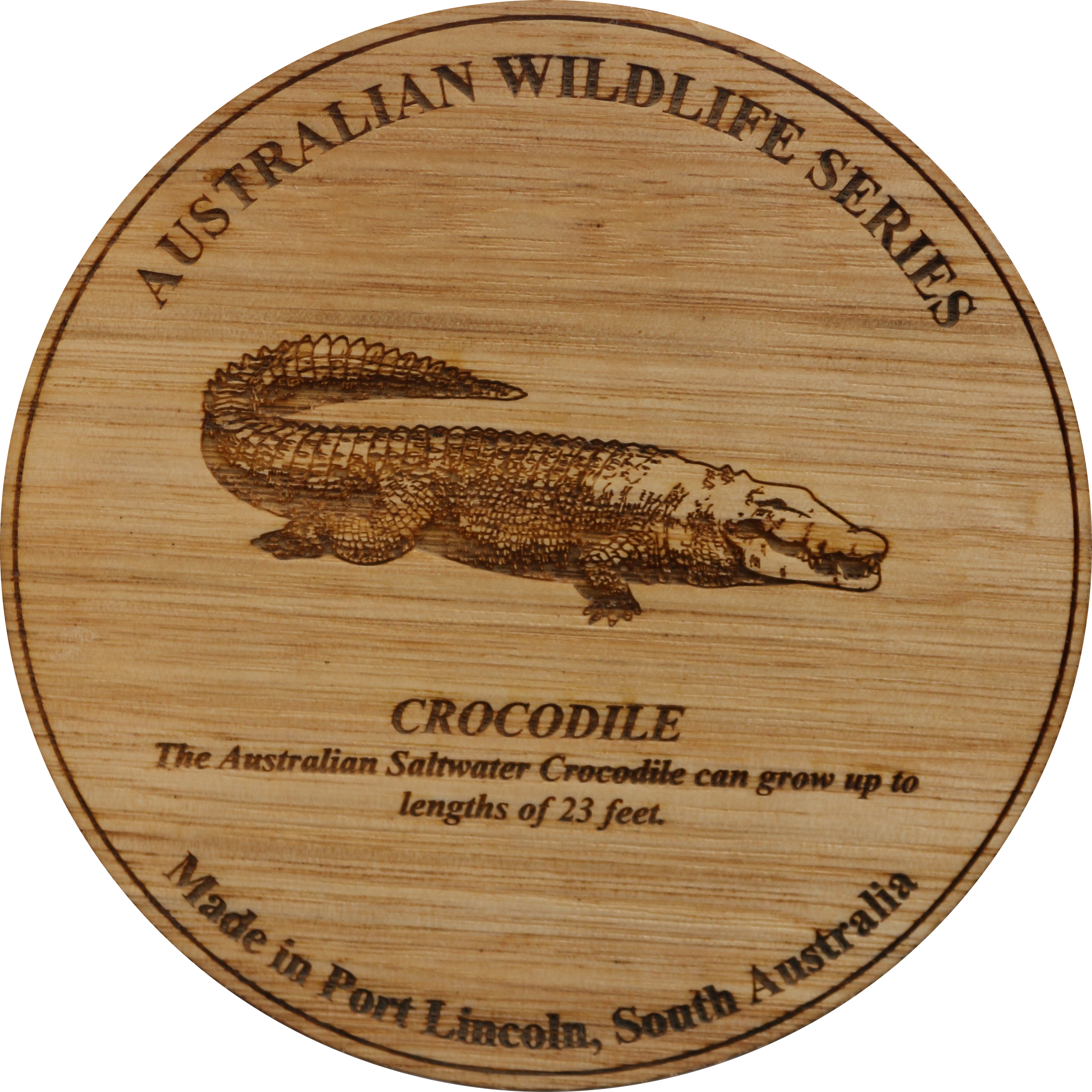 Rhapsody In Wood, Wooden Maps, Coasters, Crocodile