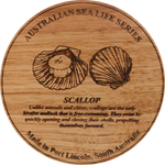 Load image into Gallery viewer, Rhapsody In Wood, Wooden Maps, Coasters, Scallop
