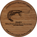 Load image into Gallery viewer, Rhapsody In Wood, Wooden Maps, Coasters, Prawn

